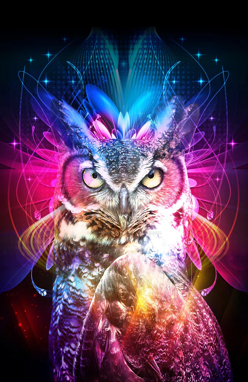 Blue Owl's Fund Merger Collapse: What Happened and Where Do We Go From Here?